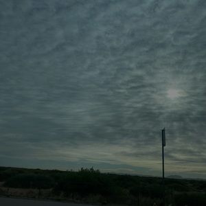 Meet your Posher, Elleia